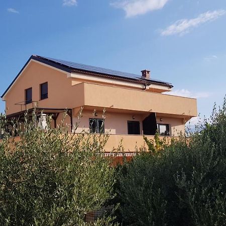 Apartmani Zem, Krk Krk Town Buitenkant foto