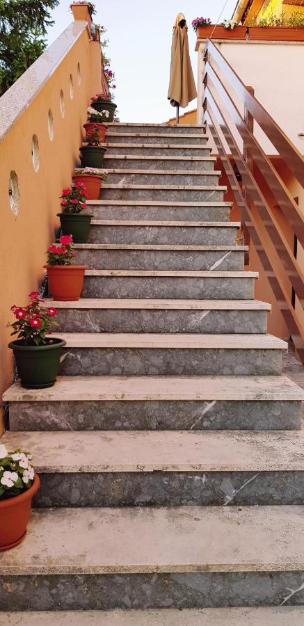 Apartmani Zem, Krk Krk Town Buitenkant foto