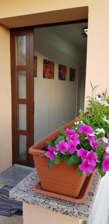 Apartmani Zem, Krk Krk Town Buitenkant foto